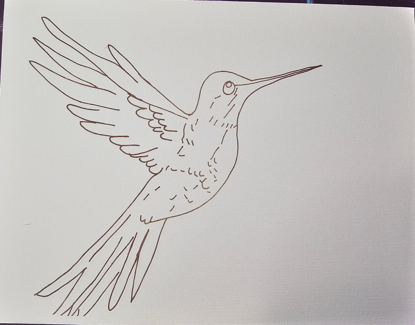 Spring Hummingbird TRACED CANVAS